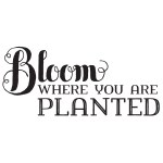 Bloom Where You Are Planted Chalk Couture Transfer